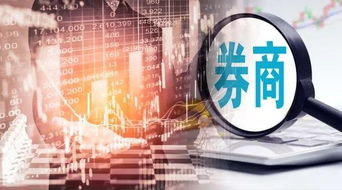 中信证券怎么赢了