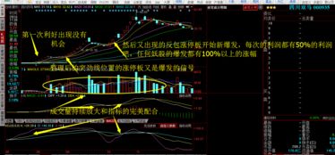 如何选取热点龙头股票