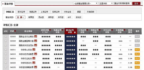股票型基金如何 股票型基金如何