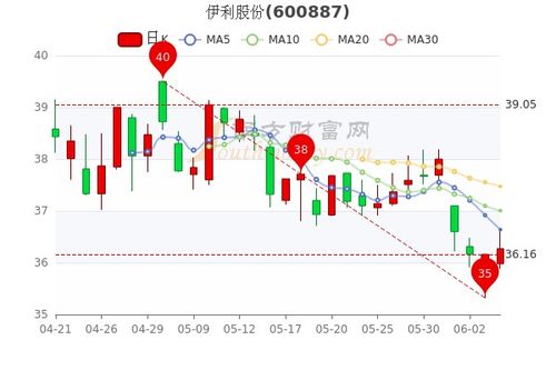 伊利股票如何