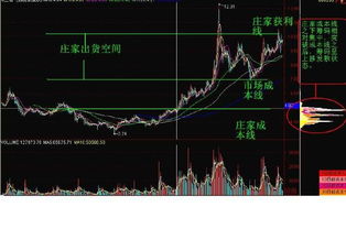 股票如何分析主力出货 股票如何分析主力出货