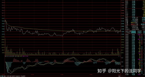 如何查看股票每日均价