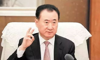 王健林股票如何
