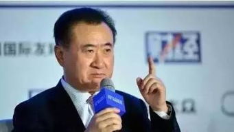王健林股票如何