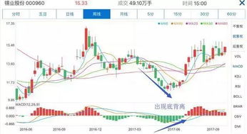 股票小白如何使用