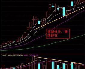 股票如何记价买入