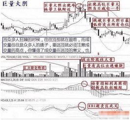如何发现股票是否被套