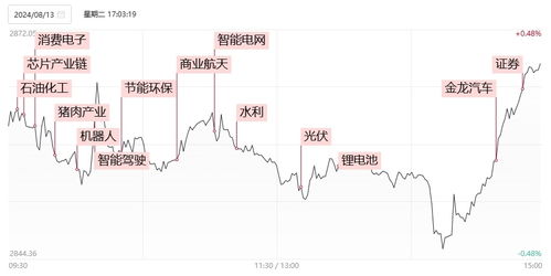 中年失业如何选股票板块