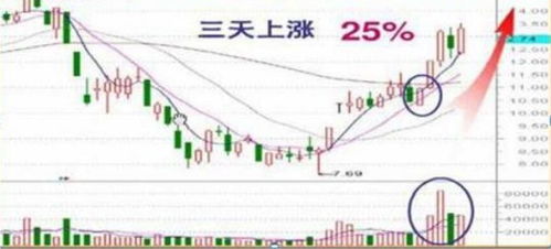 证券突然拉升回落怎么办
