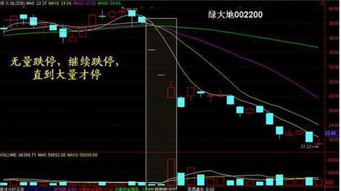 证券突然拉升回落怎么办