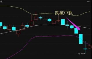 新手股票如何操作