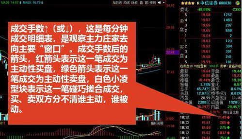 新手股票如何操作