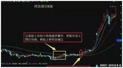 如何在高点上卖股票视频 如何在高点上卖股票视频