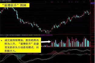 如何查看股票卖出成交量