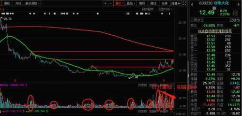 如何面对股票的盈亏需求 如何面对股票的盈亏需求