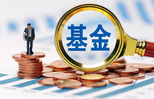 证券都是怎么买的 证券都是怎么买的