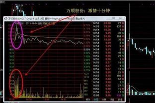 油脂股票拉高后如何出货 油脂股票拉高后如何出货