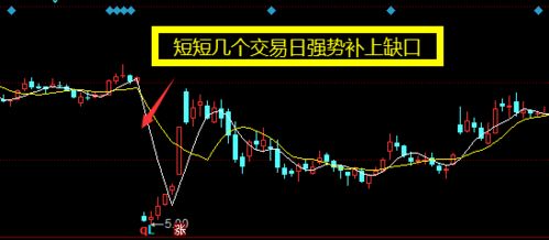 股票如何除权填权 股票如何除权填权