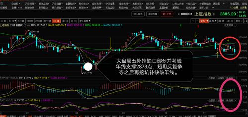 如何选股第一类股票