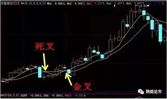股票如何上手