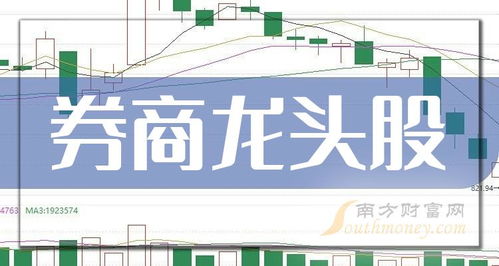 海通证券怎么查龙头