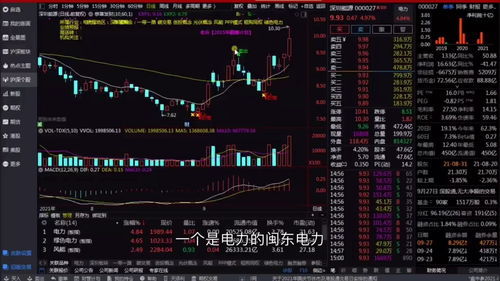 如何看股票的基础知识书