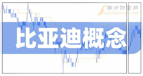 如何炒好比亚迪股票