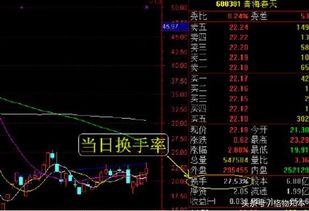股票如何防止套路炒股