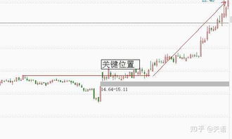 股票如何防止套路炒股
