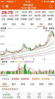 股票如何加杠杠