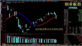 新手如何选一只好股票