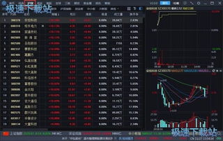 股票如何导入