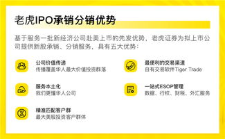 老虎证券管理业务怎么样