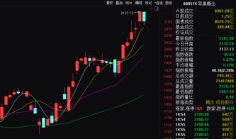 如何能看懂股票概念股