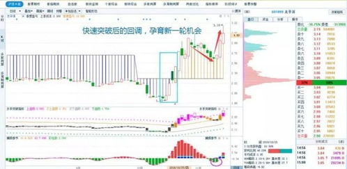 如何查看股票里面的收益