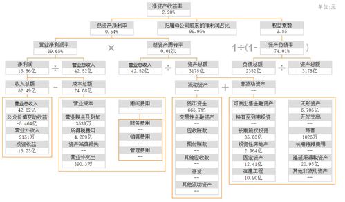 证券行业小白怎么练级