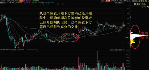如何抓住股票的上涨点