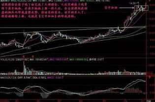 如何投资海豚的股票 如何投资海豚的股票