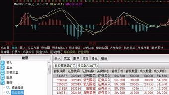如何查看股票金额