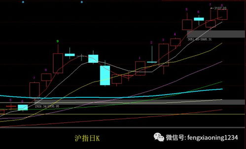如何看待网红股票行情