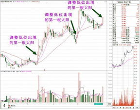 如何选股牛市股票