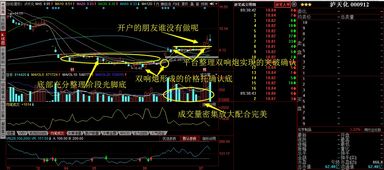 股票回调后如何计算止跌