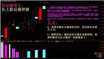 底部如何选择龙头股股票