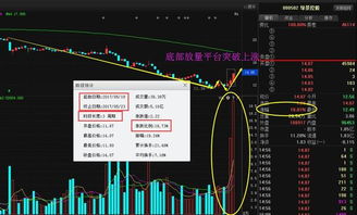 强势股票如何抓龙头行业