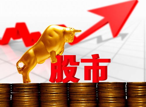 股民如何投资股票