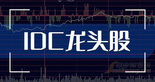 如何找到股票的龙头企业