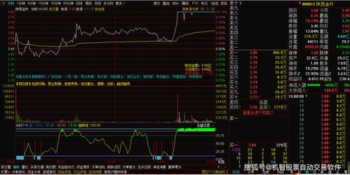 股票资产如何显示出来 股票资产如何显示出来