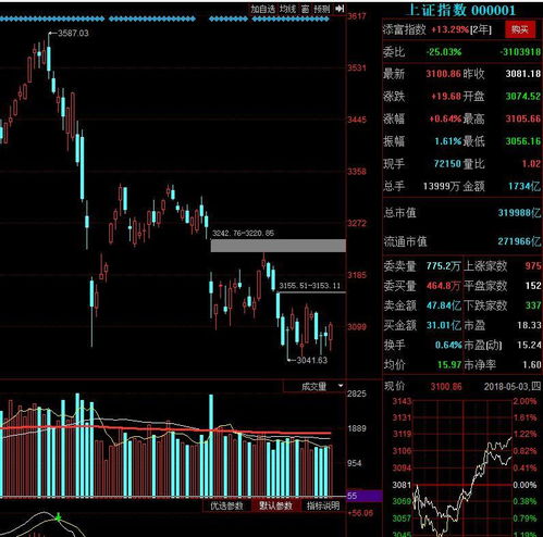 上海证券怎么查股票