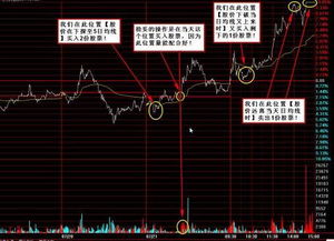 如何看股票买入价格