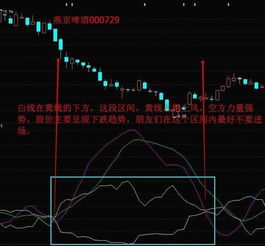 如何看懂股票的指标图